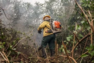 Queimadas no Amazonas são causadas por ação humana intencional, afirma governo