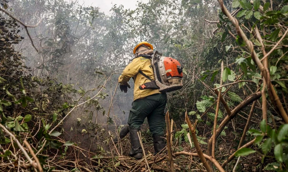 Queimadas no Amazonas são causadas por ação humana intencional, afirma governo