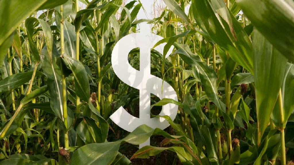 Regras da Anbima fazem recursos do agronegócio migrar dos cras para fiagros e cprs