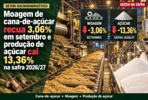 Safra 2026/27 tem queda de 13,36% no açúcar após recuo de 3,06% na moagem de cana em setembro
