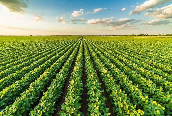 Safra de soja 2026/27 exige estratégias distintas para o Sul e o Cerrado sob influência do El Niño