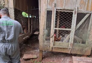 Secretaria da Agricultura finaliza vistoria no raio de 3 km de propriedade com gripe aviária