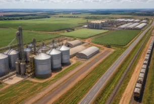 Senado homenageia setor agropecuário em celebração ao Dia Mundial da Alimentação