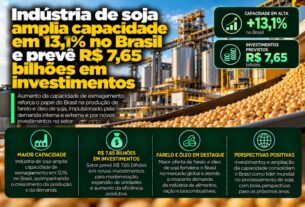 Setor de soja investe R$ 7,65 bilhões para elevar capacidade produtiva em 13,1% no Brasil