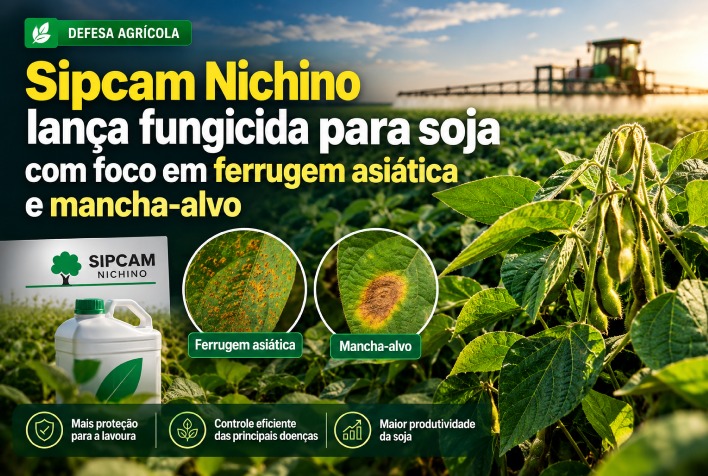 Sipcam Nichino aposta em fungicida multissítio para combater pragas da soja