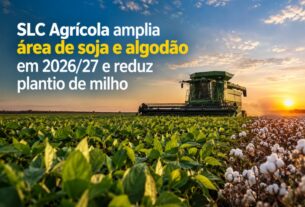 SLC Agrícola expande plantio de soja e algodão para 2026/27 e diminui área de milho