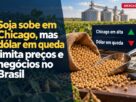 Soja avança em Chicago, mas dólar fraco segura negócios no Brasil