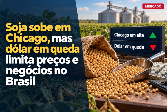 Soja avança em Chicago, mas dólar fraco segura negócios no Brasil
