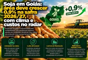 Soja em Goiás projeta expansão de área na safra 2026/27 sob olhar atento ao clima