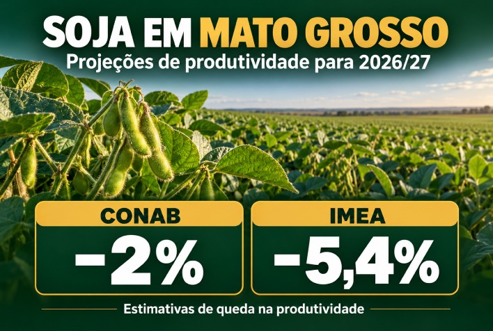 Soja em Mato Grosso enfrenta projeção de queda na produtividade para 2026/27