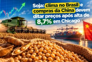 Soja reage com alta em Chicago e mira clima e compras da China