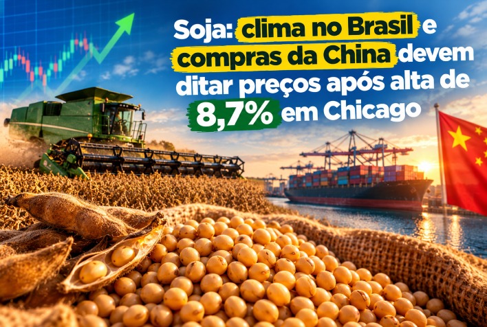 Soja reage com alta em Chicago e mira clima e compras da China