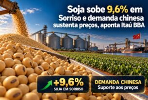 Soja registra alta de 9,6% em Sorriso impulsionada por demanda chinesa