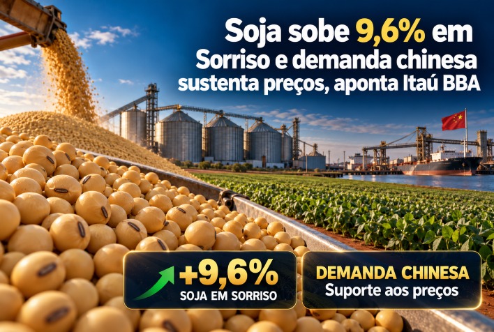 Soja registra alta de 9,6% em Sorriso impulsionada por demanda chinesa