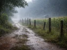Sul, Sudeste e Centro-oeste entram em alerta com avanço de chuvas intensas