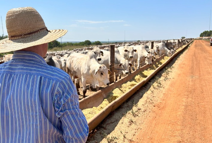 Tecnologia enzimática inspirada em aranhas chega ao Brasil para otimizar nutrição animal