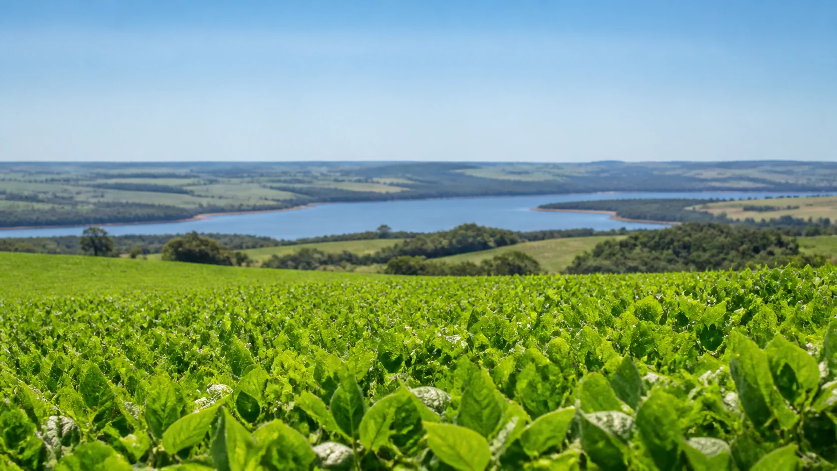 Temperaturas em Santa Catarina devem ficar acima da média climatológica