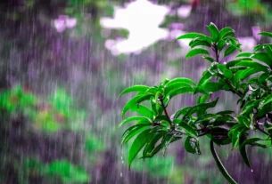 Temporais e rajadas intensas de vento marcam o clima no país