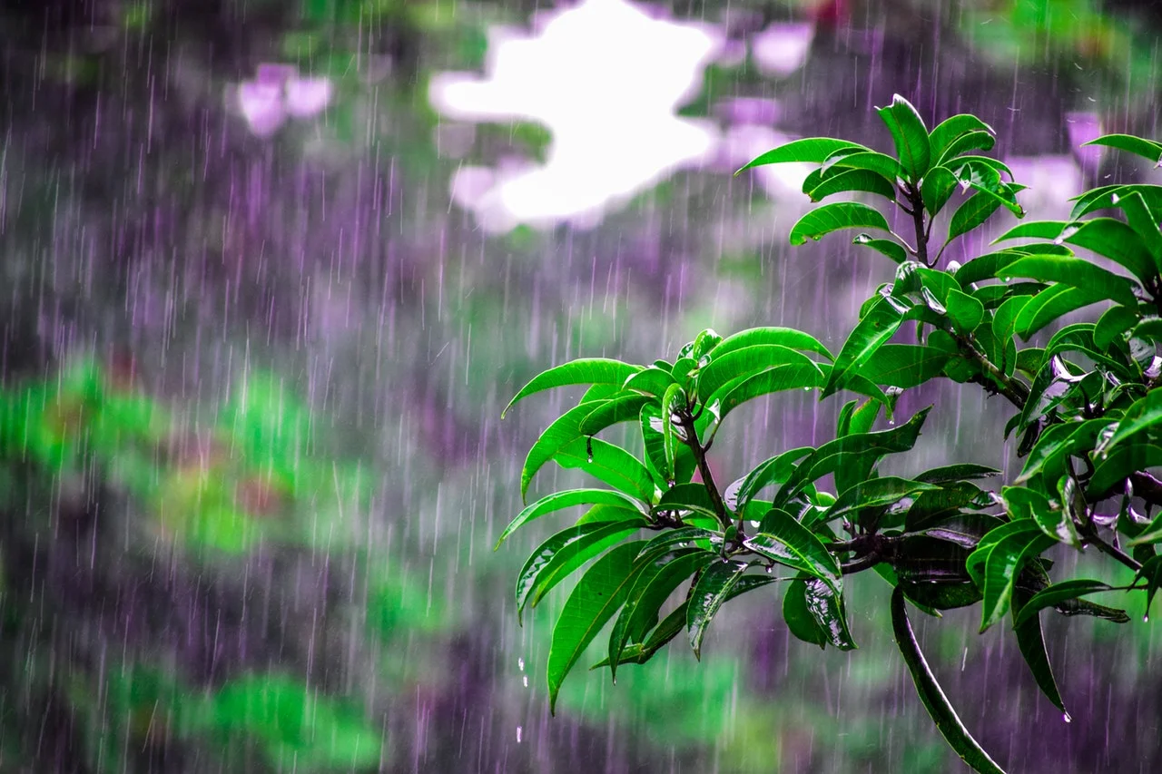 Temporais e rajadas intensas de vento marcam o clima no país