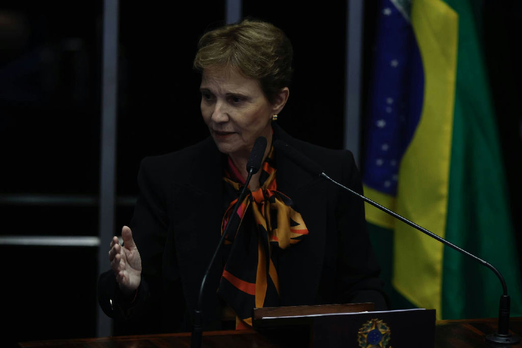 Tereza Cristina prega oposicao vigilante e evita contestar urnas