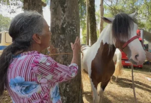 Tradição de benzer animais resiste e se moderniza no interior do estado