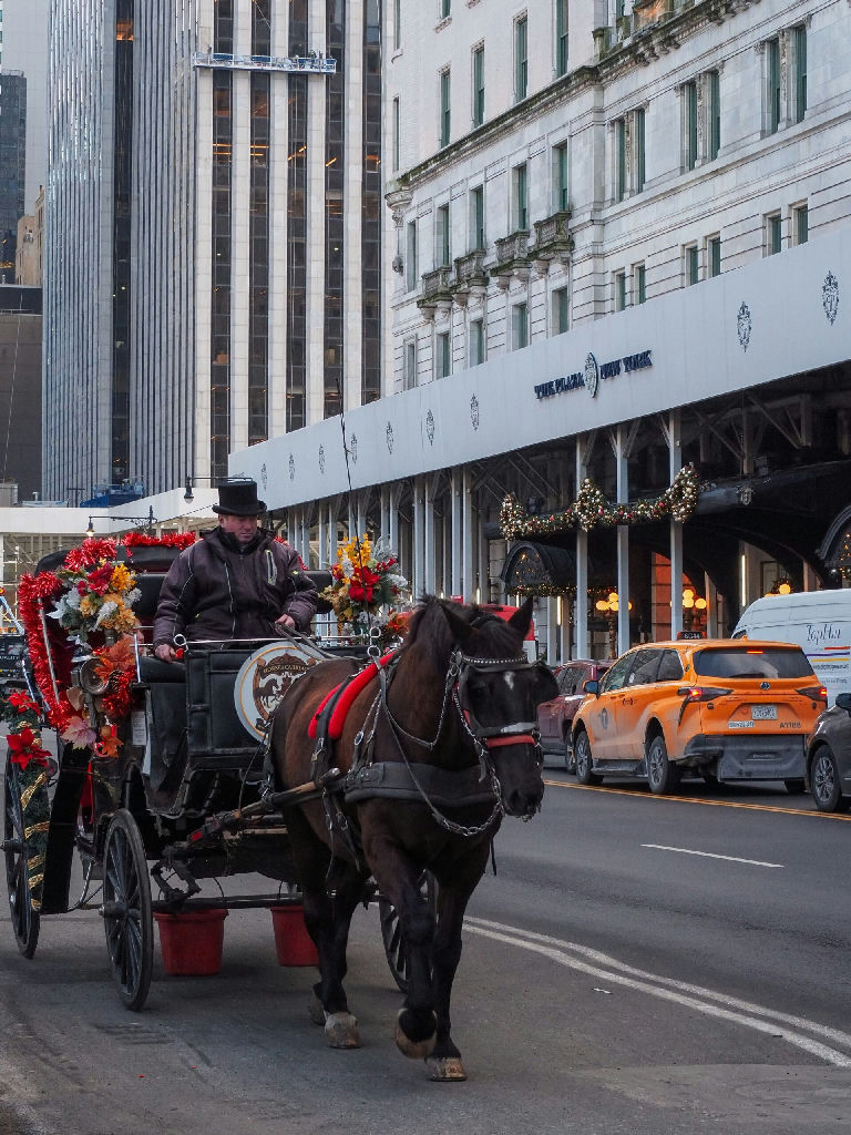 Tradição secular em risco: Nova York decide banir passeios de charrete