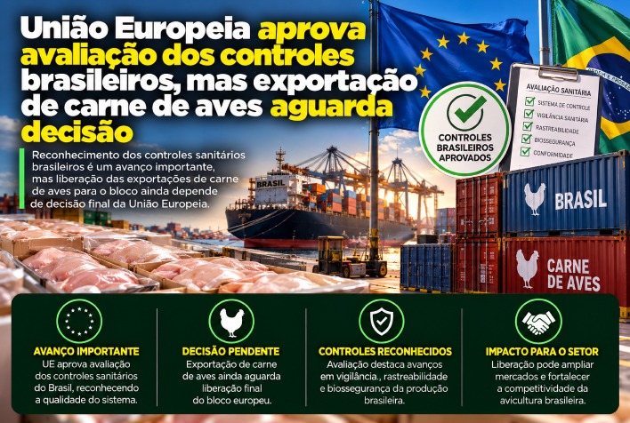 União Europeia valida controles sanitários do Brasil, mas exportação de aves segue em compasso de espera