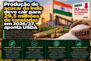 USDA projeta queda na safra de açúcar da Índia para 29,5 milhões de toneladas em 2026/27