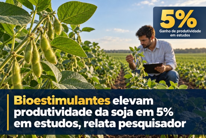 Uso de bioestimulantes eleva produtividade da soja em cinco porcento em estudos