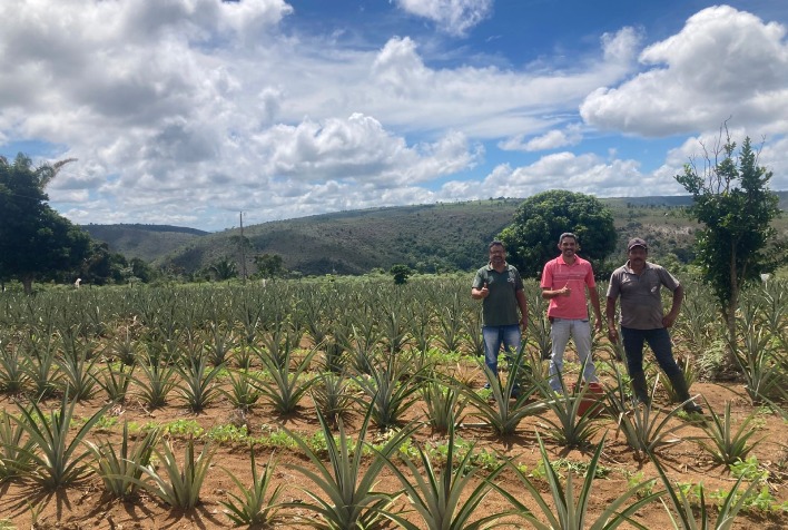 Uso de silicato beneficia mais de 2 mil produtores rurais em Minas Gerais