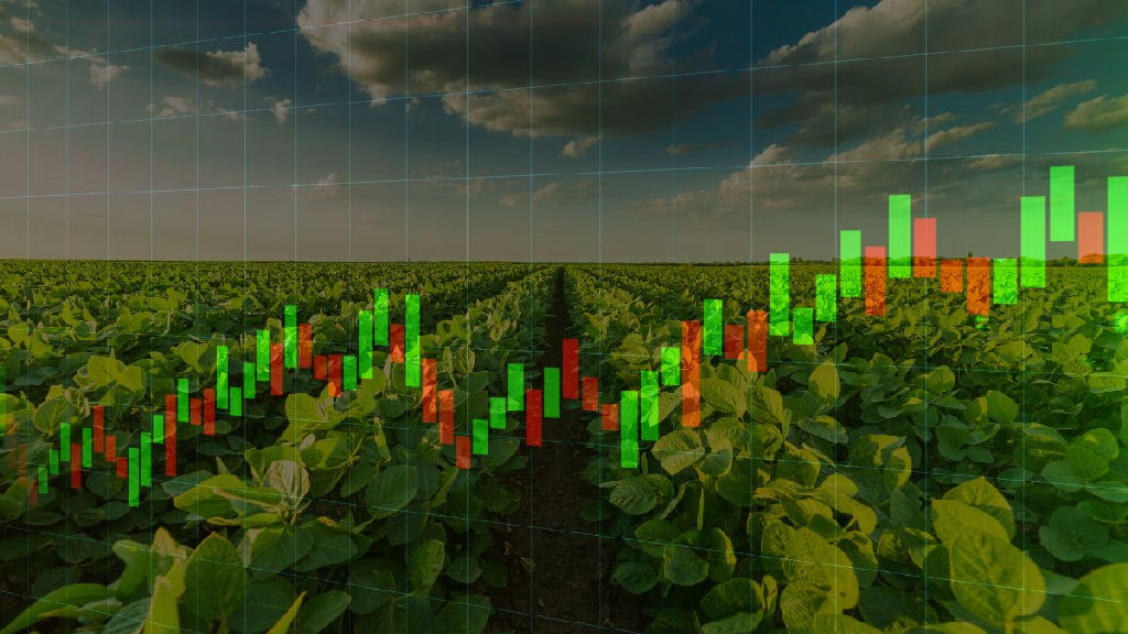 Venda de fazenda por fundo imobiliário do agronegócio promete impacto positivo nas cotas