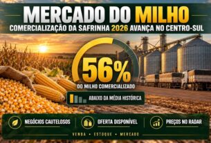 Vendas de milho safrinha 2026 no Centro-sul alcançam 56% e ficam abaixo da média histórica