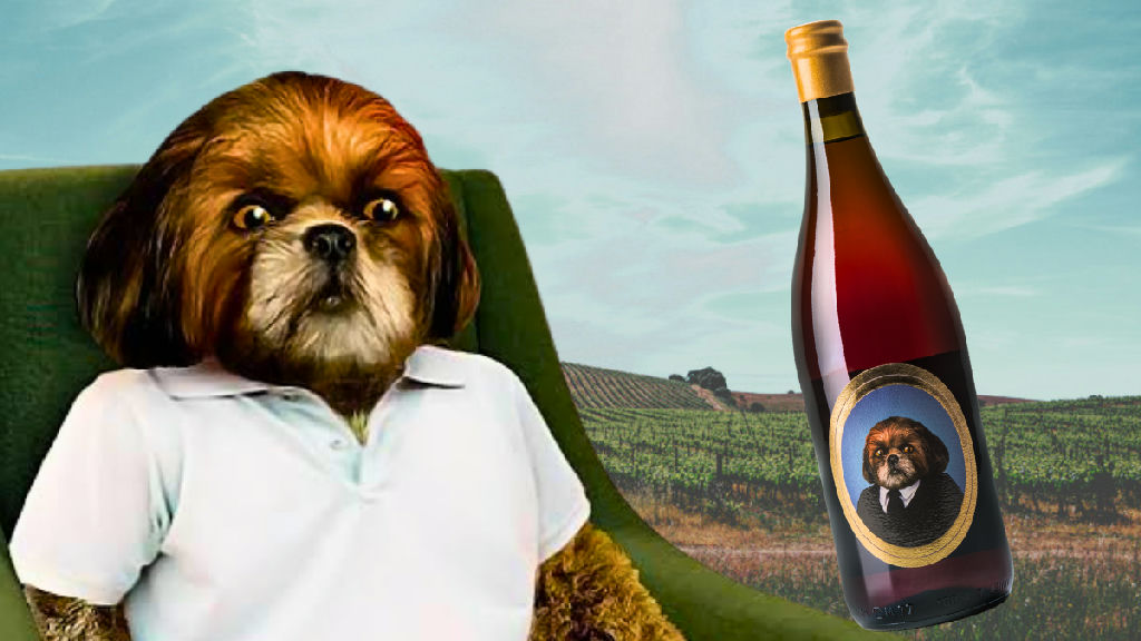 Vinho Dr. Bruno chega ao Brasil com a irreverência de Bruno Aleixo